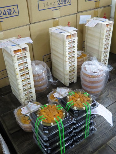 sea urchin at tsukiji market