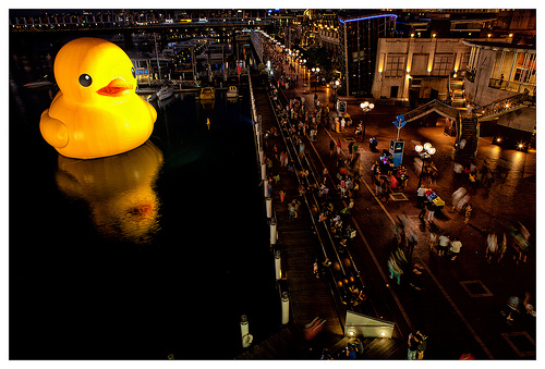 Giant duck 