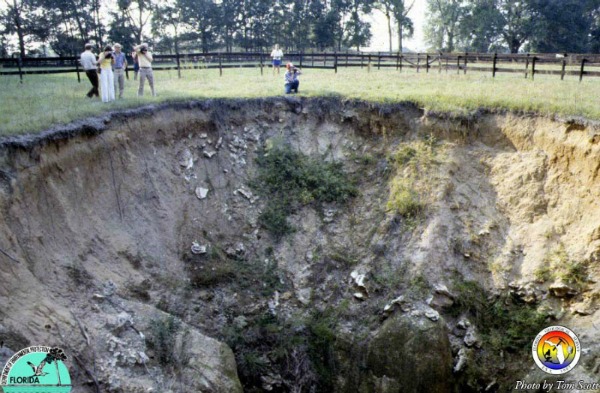 Sinkhole on farm near Ocala, Florida