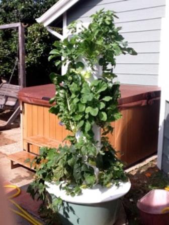 tower garden